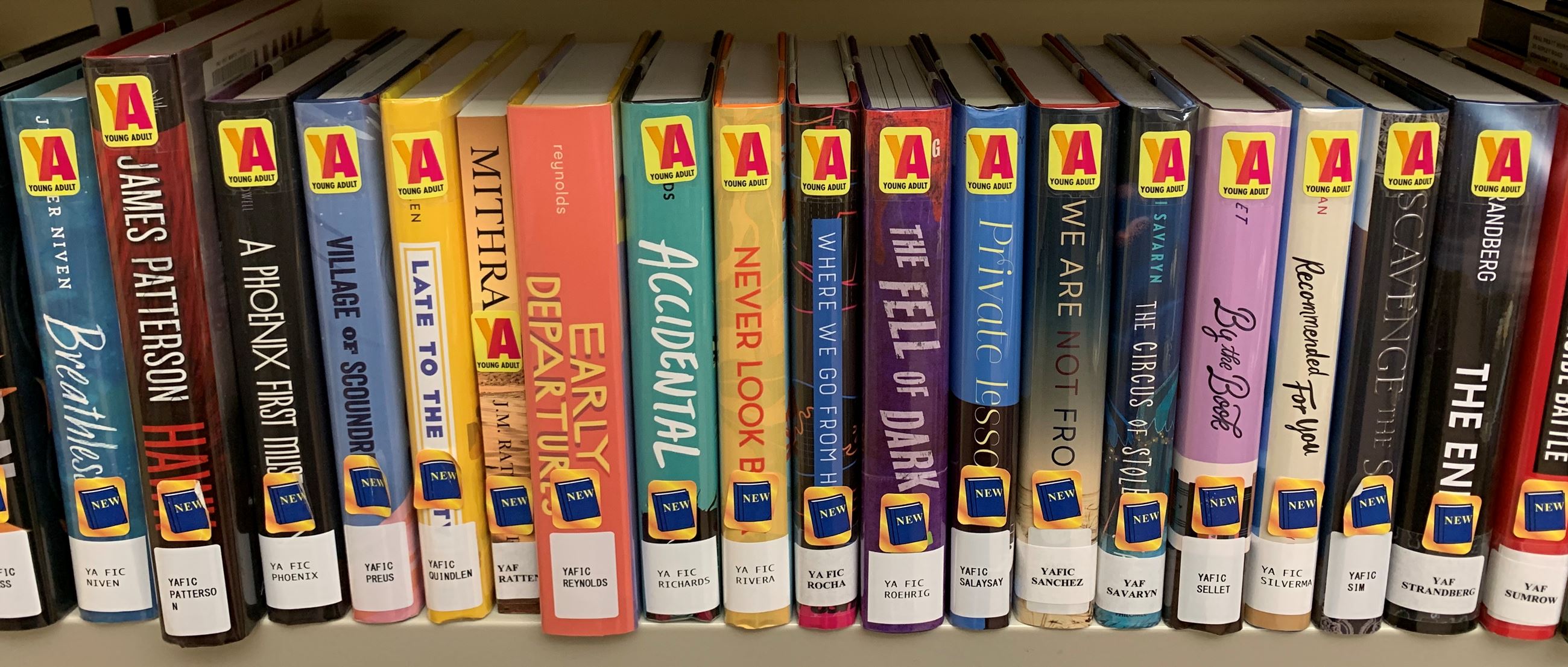 YA Books